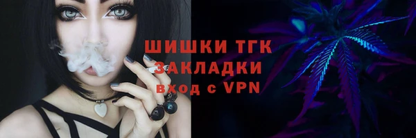ПСИЛОЦИБИНОВЫЕ ГРИБЫ Алзамай