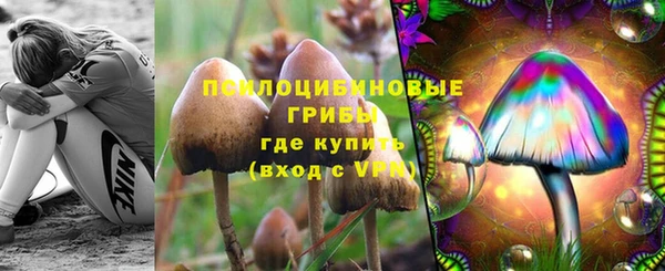 прущий лед Алексин
