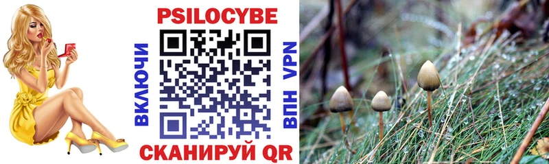 Галлюциногенные грибы MAGIC MUSHROOMS  где можно купить   площадка наркотические препараты  Ленинск 